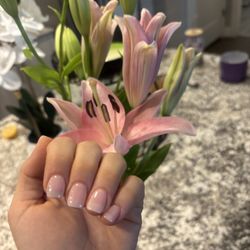 Oasis Nails And Spa