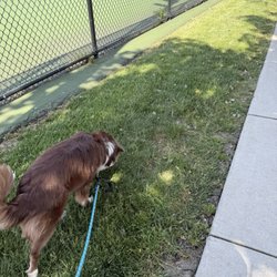 Free walk.