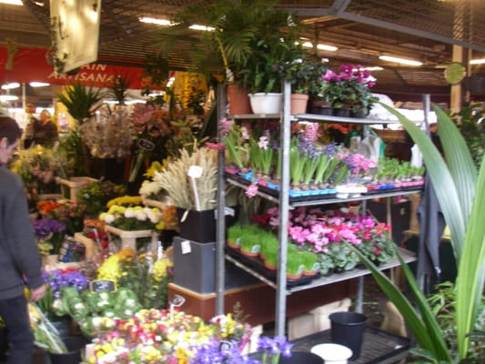 Marché des Capucins by null
