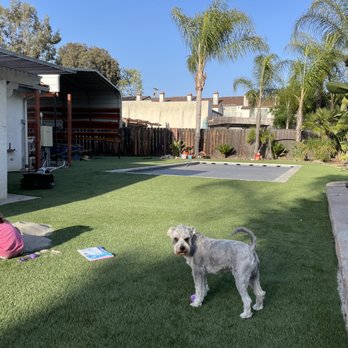 Creative Turf Install - We have a backyard again after Creative Turf's phenomenal job. - Landscaping Near Me