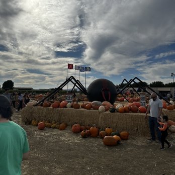 Cool Patch Pumpkins - Pumpkin Patches Near Me - Dixon, California