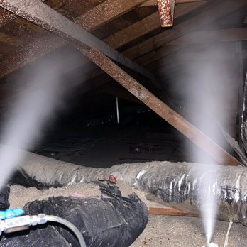 Pure Mold Masters - Environmental Testing Near Me Pure Mold Masters - Environmental Testing Near Me