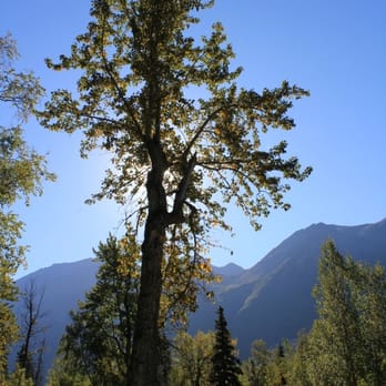 Eagle River Nature Center - Hiking - Hiking Near Me - Eagle River, Alaska