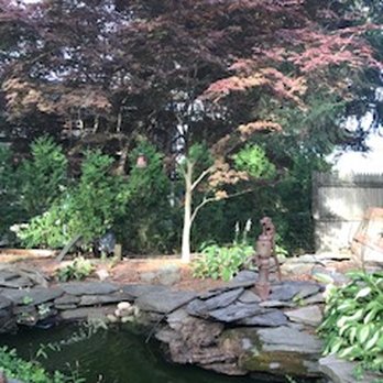 William's Grant Inn Bed & Breakfast - Koi pond behind the B&B - Bed & Breakfast Near Me - Bristol, Rhode Island