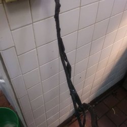 Andy's Restaurants - Elect wire
