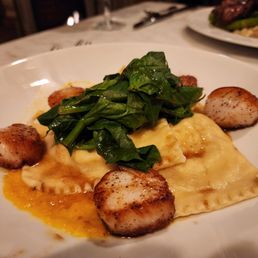 Seared scallops and ravioli