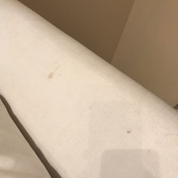 Origin at Seahaven - Chairs had chocolate (I hope) and other food along with sand all over it. - Resorts Near Me - Panama City Beach, Florida
