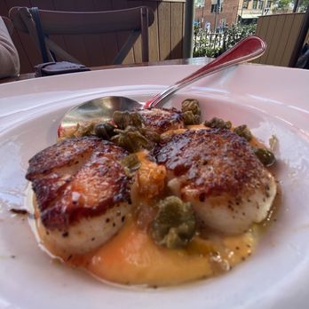 Bacari GDL - Seared Scallops - Mediterranean Near Me - Glendale, California Bacari GDL - Seared Scallops - Mediterranean Near Me - Glendale, California