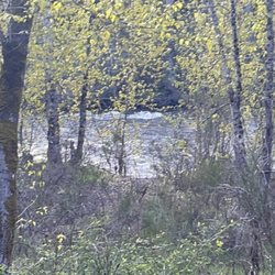 Game Farm Park