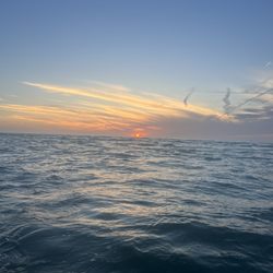 Sarasota Boat Tours - Sunset in the gulf