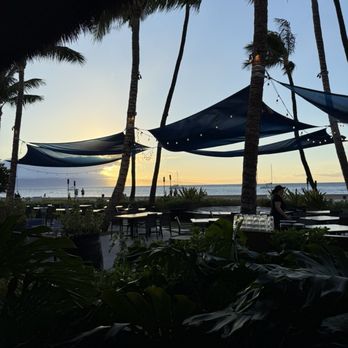 Maui Brewing - Beautiful view - Brewpubs Near Me - Lahaina, Hawaii Maui Brewing - Beautiful view - Brewpubs Near Me - Lahaina, Hawaii