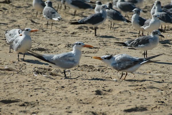 Keansburg Beach by null