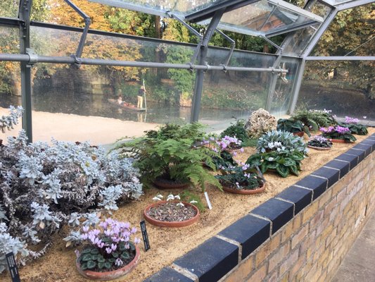 Oxford Botanic Garden by null