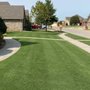 Photo of SoCal Artificial Turfs