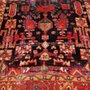 Photo of Pacific Coast Carpet Cleaning