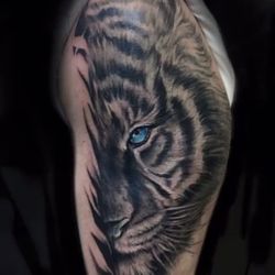 Tattoo Dimention - Tiger tattoo