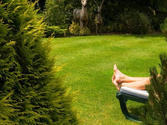 Thornton Hall Hotel & Spa by null