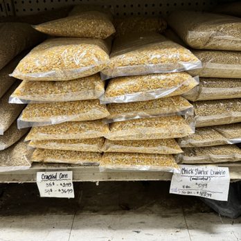 Moanalua Pets - Cracked corn - a favorite for pet chickens. Don't try to pop these in the microwave. - Pet Stores Near Me - Honolulu, Hawaii Moanalua Pets - Cracked corn - a favorite for pet chickens. Don't try to pop these in the microwave. - Pet Stores Near Me - Honolulu, Hawaii