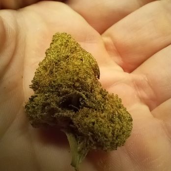 Casa de Mota - Look at it, love it, it's KUSH MINTS - Vitamins & Supplements Near Me - San Antonio, Texas Casa de Mota - Look at it, love it, it's KUSH MINTS - Vitamins & Supplements Near Me - San Antonio, Texas