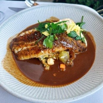 Bludorn - Grouper - New American Near Me - Houston, Texas Bludorn - Grouper - New American Near Me - Houston, Texas