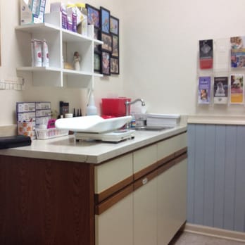 Arlington Cat Clinic - Inside exam room. - Veterinarians Near Me - Arlington Heights, Illinois Arlington Cat Clinic - Inside exam room. - Veterinarians Near Me - Arlington Heights, Illinois