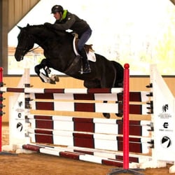 Echo Glen Equestrian Center - Corteo at his stallion testing....