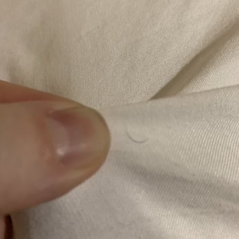 Best Western Fishkill Inn & Suites - Hair in our bed observed before we even slept in them. - Hotels Near Me - Fishkill, New York Best Western Fishkill Inn & Suites - Hair in our bed observed before we even slept in them. - Hotels Near Me - Fishkill, New York