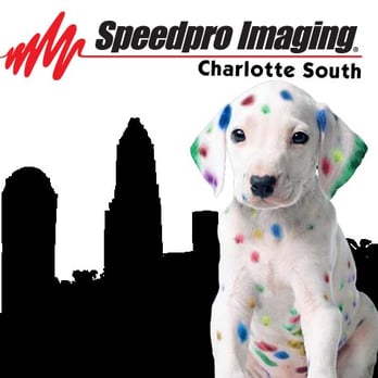 1. SpeedPro Charlotte South