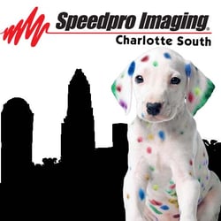 SpeedPro Charlotte South - It's not just black and white anymore...