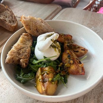 Terra - Grilled peaches + burrata - Italian Near Me - Santa Clara, California Terra - Grilled peaches + burrata - Italian Near Me - Santa Clara, California