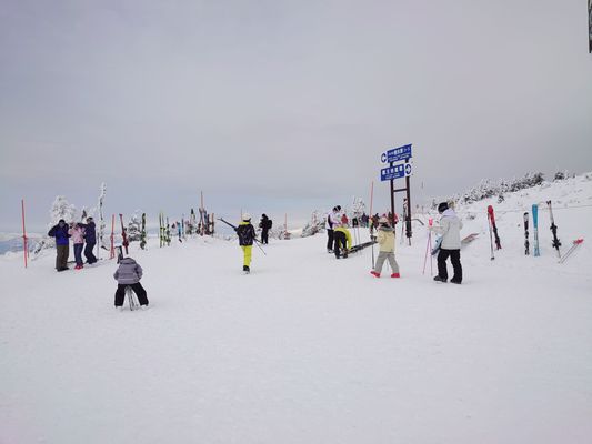 Zao Onsen Ski Resort by null