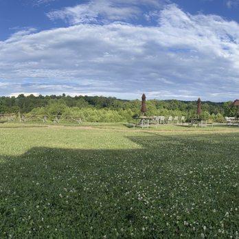 Chrysalis Vineyards - Panoramic view of the side yard - Wine Tasting Room Near Me - Middleburg, Virginia Chrysalis Vineyards - Panoramic view of the side yard - Wine Tasting Room Near Me - Middleburg, Virginia
