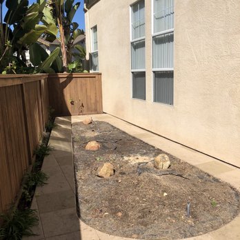 GTP Design & Build - After removal of 4 palm trees and rose bushes. - Landscaping Near Me - Spring Valley, California