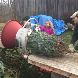 Fidlers Tree Barn - Kids help!