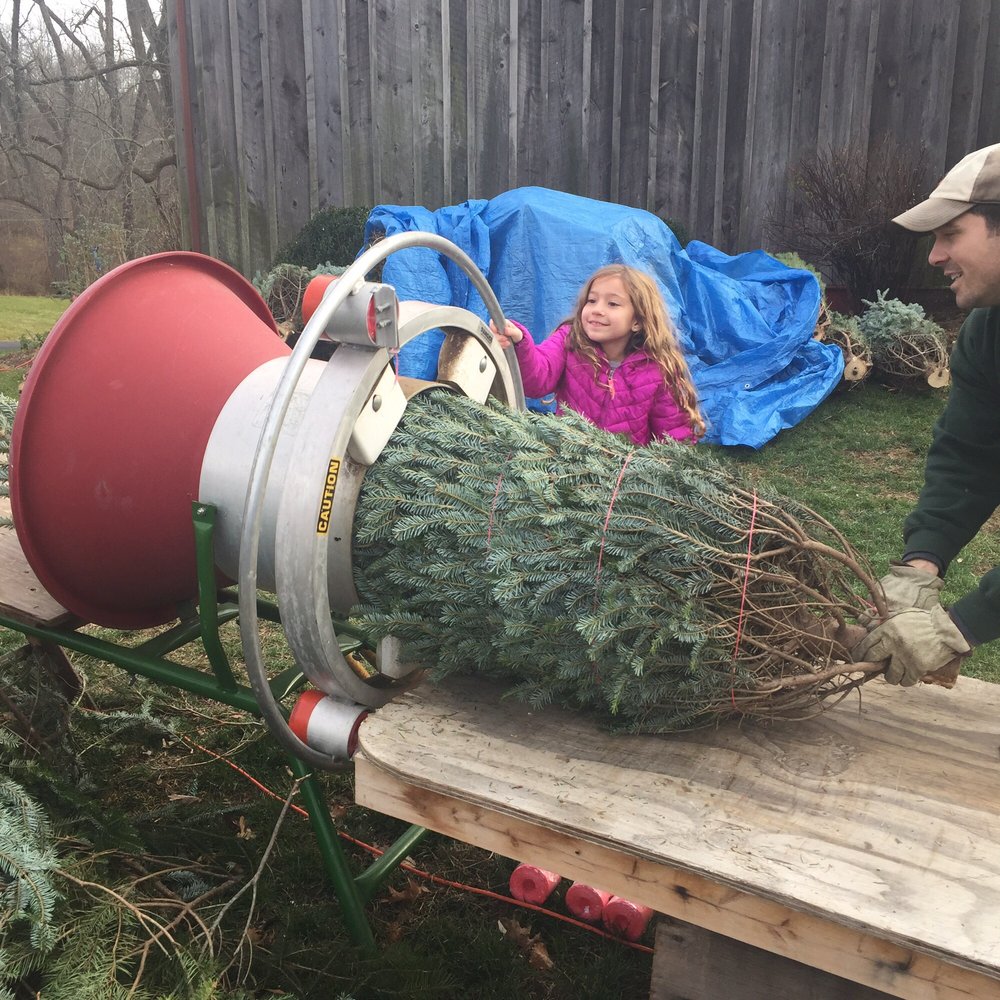 FIDLERS TREE BARN Updated October 2024 381 Sarhelm Rd, Harrisburg