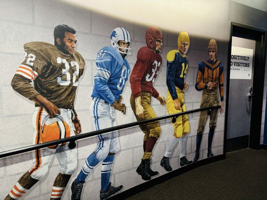 Pro Football Hall of Fame by null