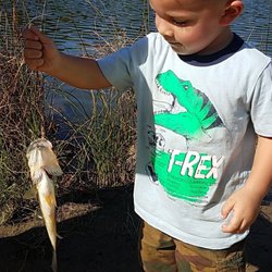 All About Bait and Tackle Shop - Caught one!