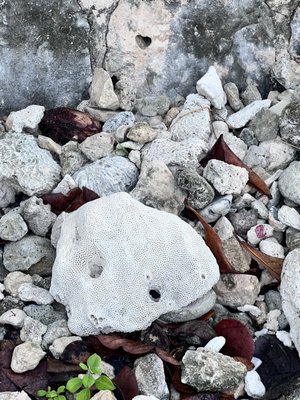 Secrets Akumal Riviera Maya by null