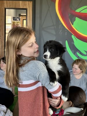 FAR FETCHED DOG RESCUE - Updated October 2026 - Madison, Indiana ...