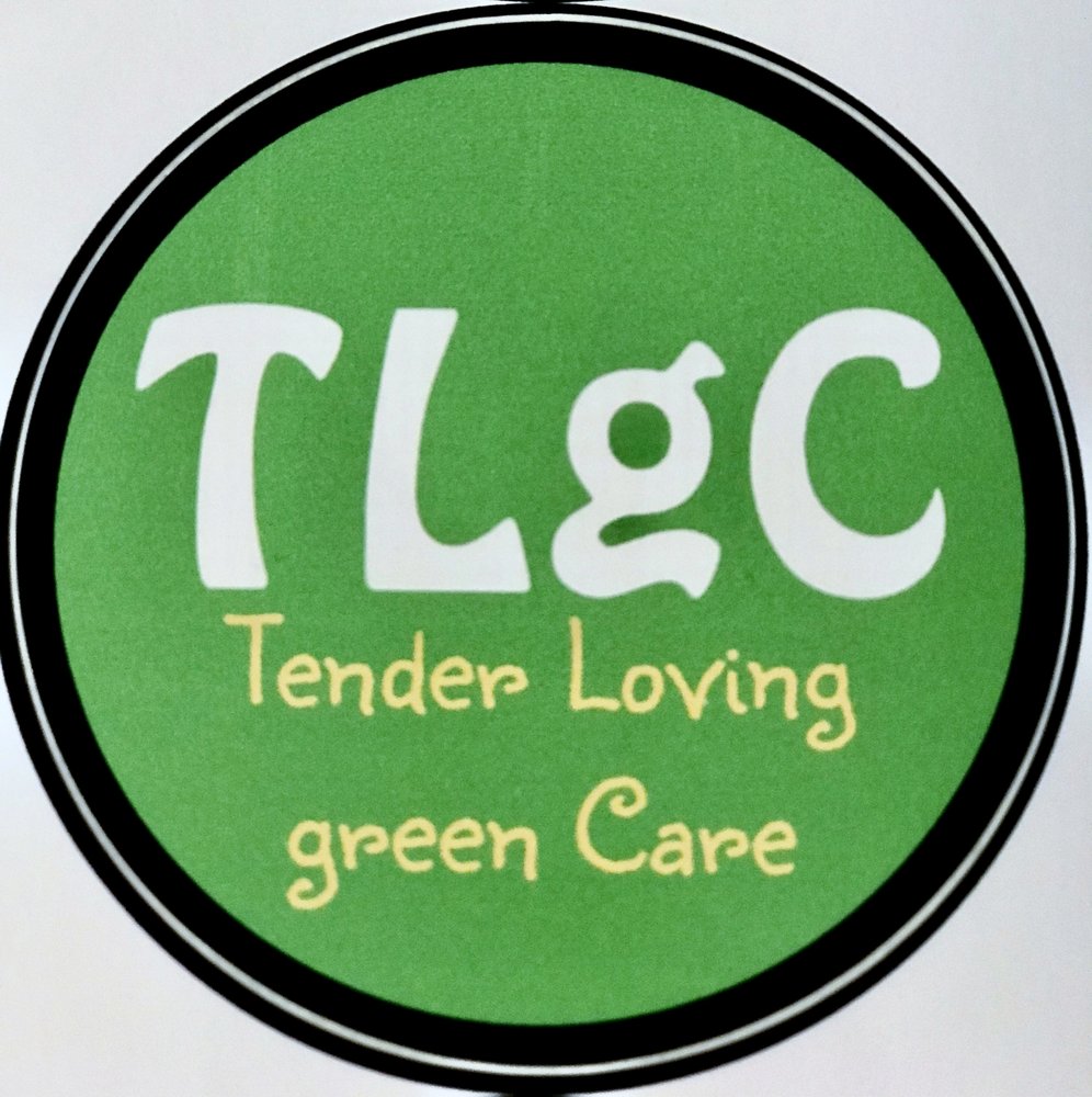 THE LITTLE GREEN CLEANERS Updated September 2024 2330 Main St