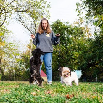 K9 Koncepts - Pet Training Near Me - Sparrows Point, Maryland K9 Koncepts - Pet Training Near Me - Sparrows Point, Maryland