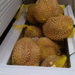 Centra Food Market - Frozen Durian
