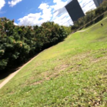 Spotts Park - Parks Near Me - Houston, Texas Spotts Park - Parks Near Me - Houston, Texas