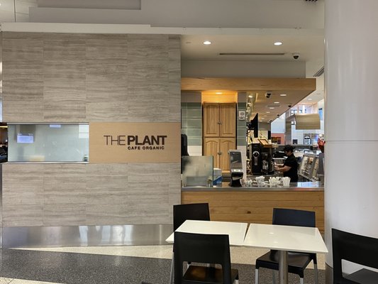 The Plant Café Organic by null
