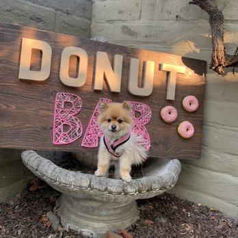 Harvey's Gourmet Donuts - Donuts Near Me - Sonoma, California Harvey's Gourmet Donuts - Donuts Near Me - Sonoma, California