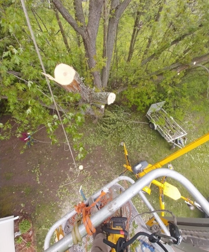 Slide of Jamie VanEtten