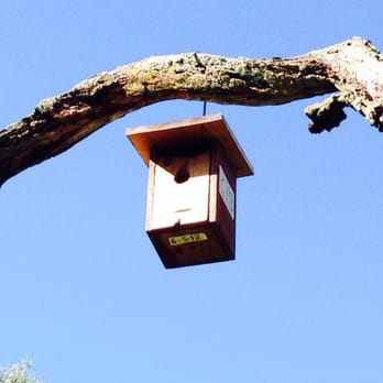 Coyote Lake Harvey Bear Ranch County Park - Official bird nest box - Hiking Near Me - Gilroy, California