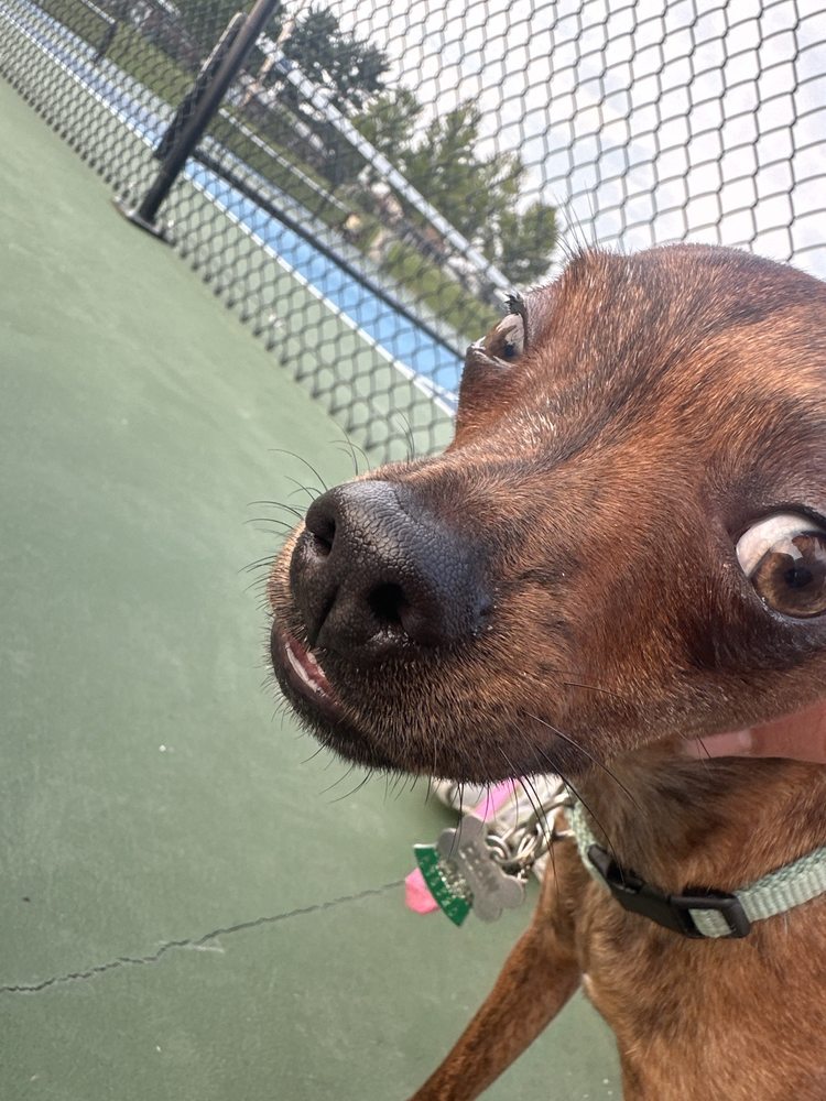 Christners Critters Taxidermy - taxidermy in Alton, IL