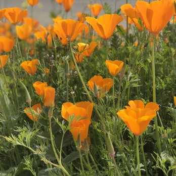 Walker Canyon Ecological Reserve - Wildlife Hunting Ranges Near Me