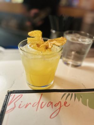 Birdcage Hollywood by null